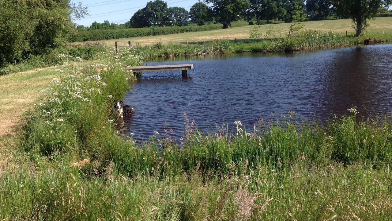 Photo of Others in Plaitford