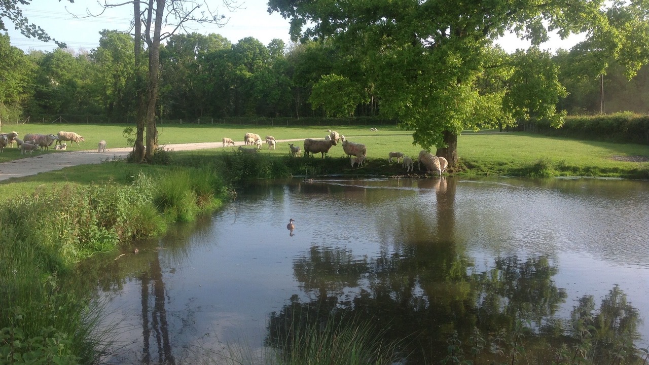 Photo of Others in Plaitford