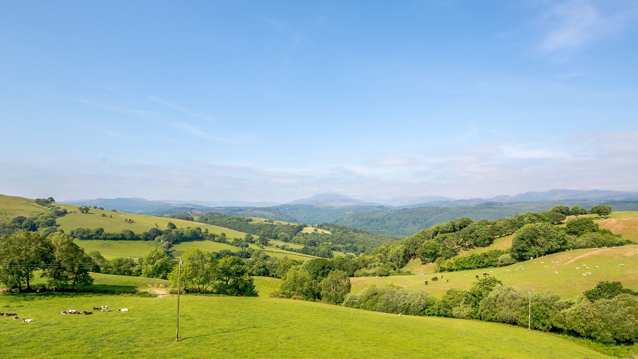 Photo of Others in Gwynedd- Snowdonia