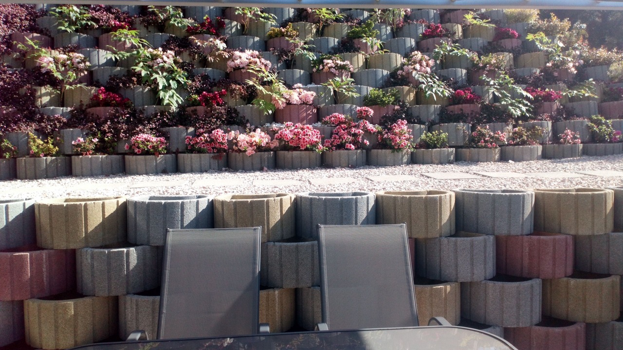 Photo of Outdoor in Moitas