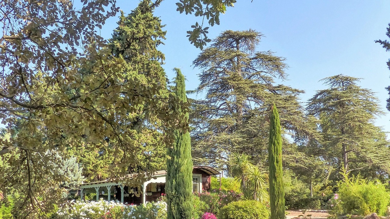 Photo of Outdoor in Saint-Maximin-la-Sainte-Baume