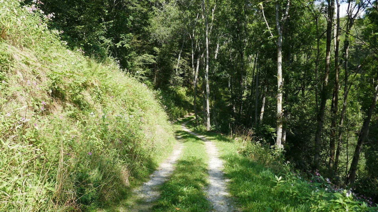 Photo of Others in Acquarossa