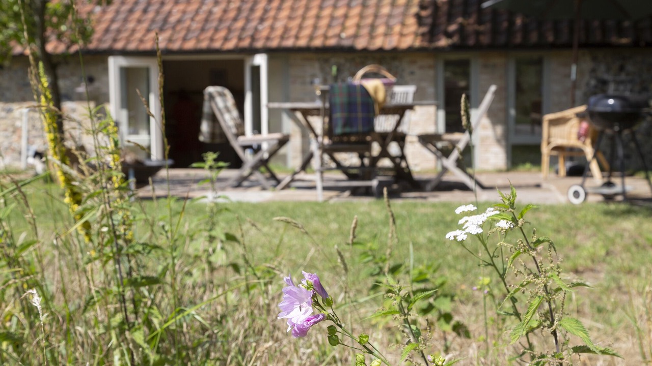 Photo of Outdoor in West Stow