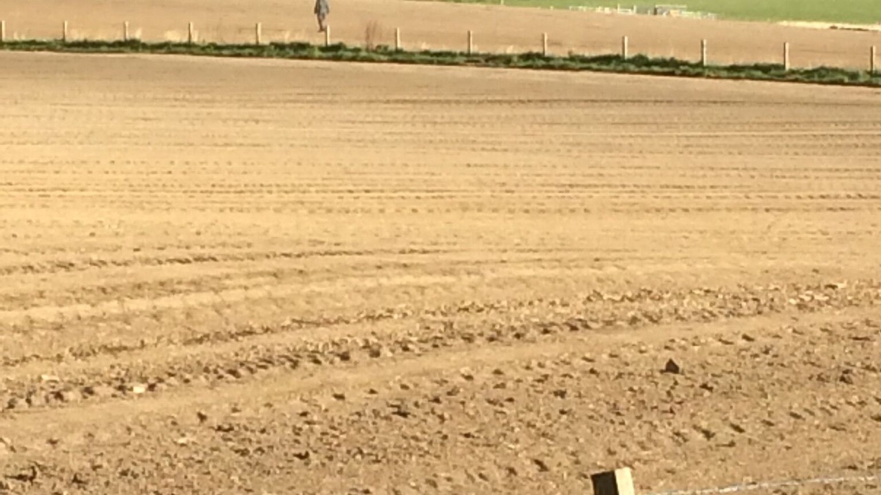 Photo of Others in North Watten
