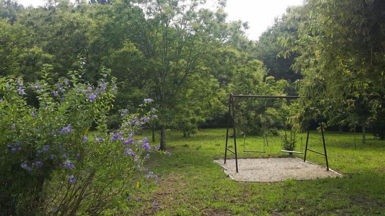 Photo of Outdoor in Macieira de Cambra