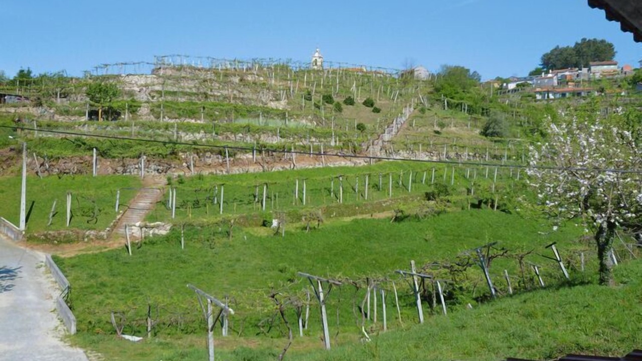 Photo of Outdoor in Macieira de Cambra