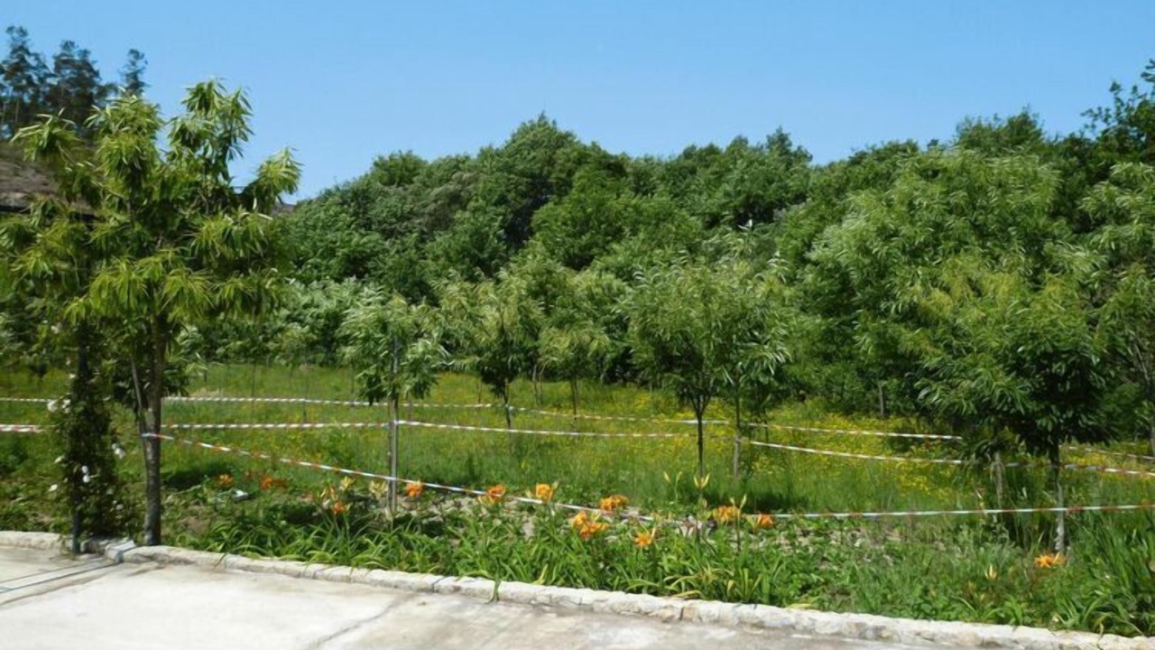 Photo of Outdoor in Macieira de Cambra