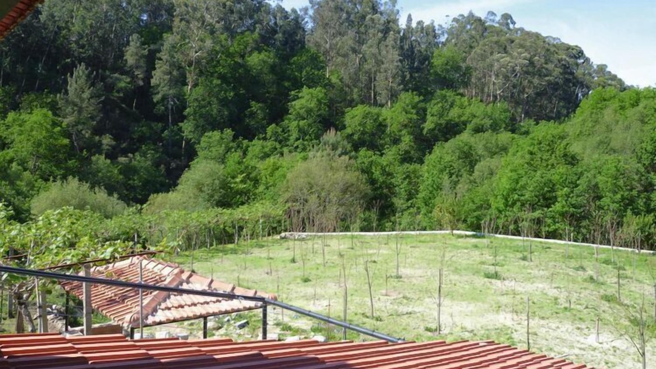 Photo of Outdoor in Macieira de Cambra