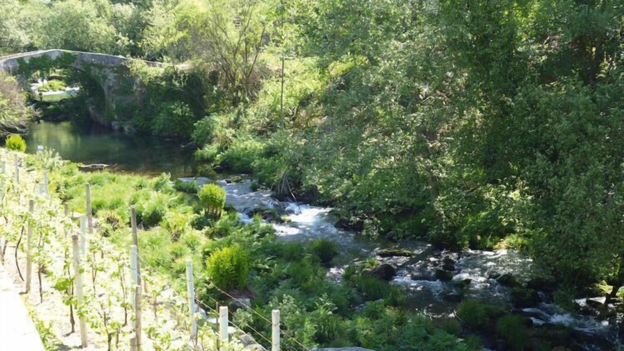 Photo of Outdoor in Macieira de Cambra