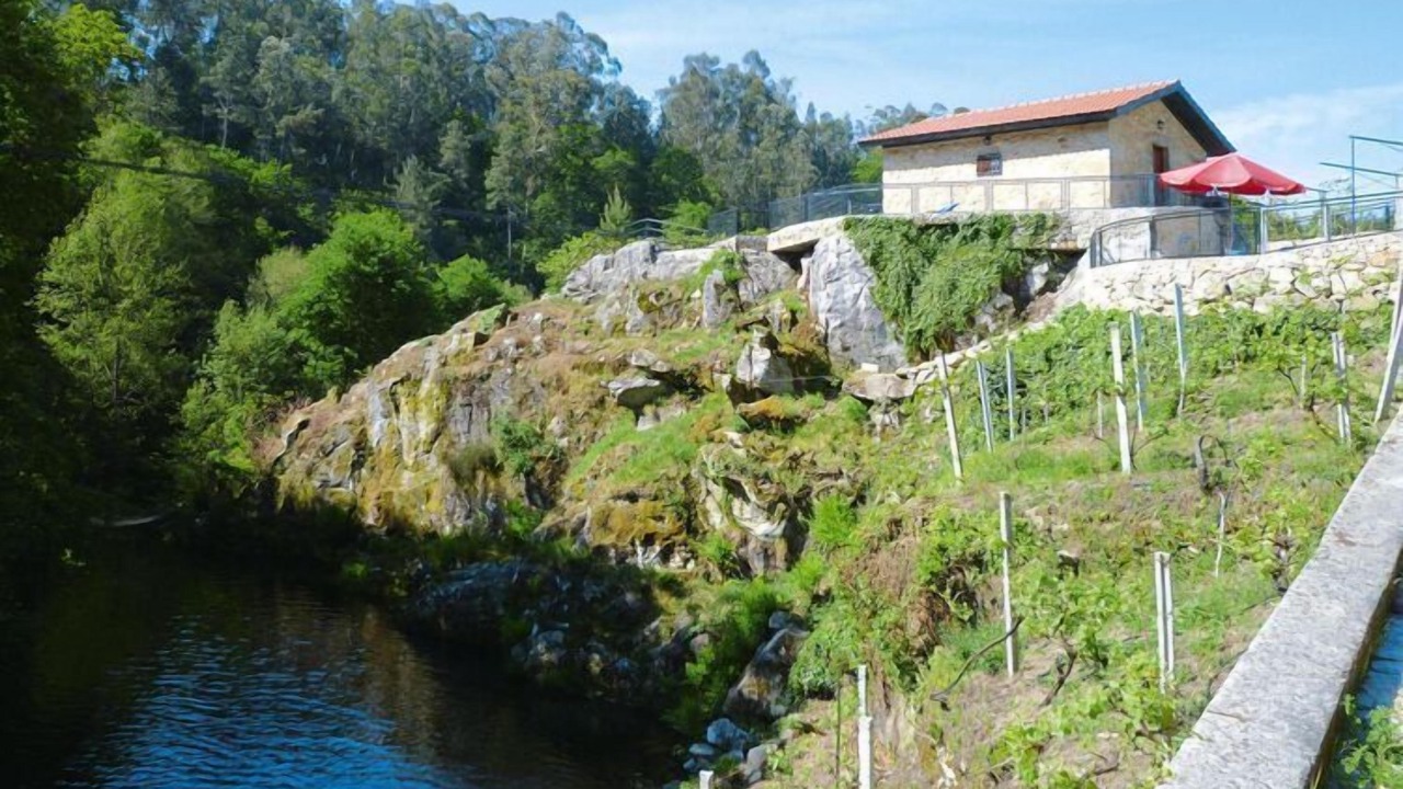 Photo of Others in Macieira de Cambra