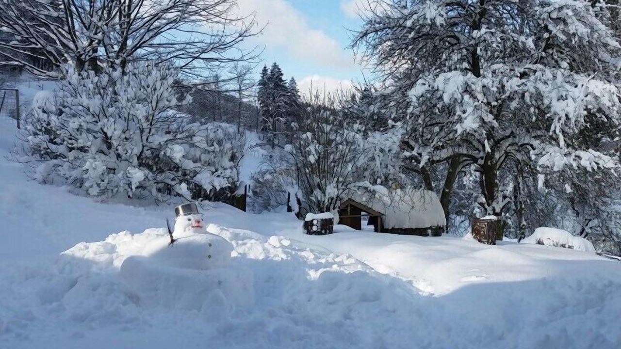 Photo of Outdoor in Oberharmersbach