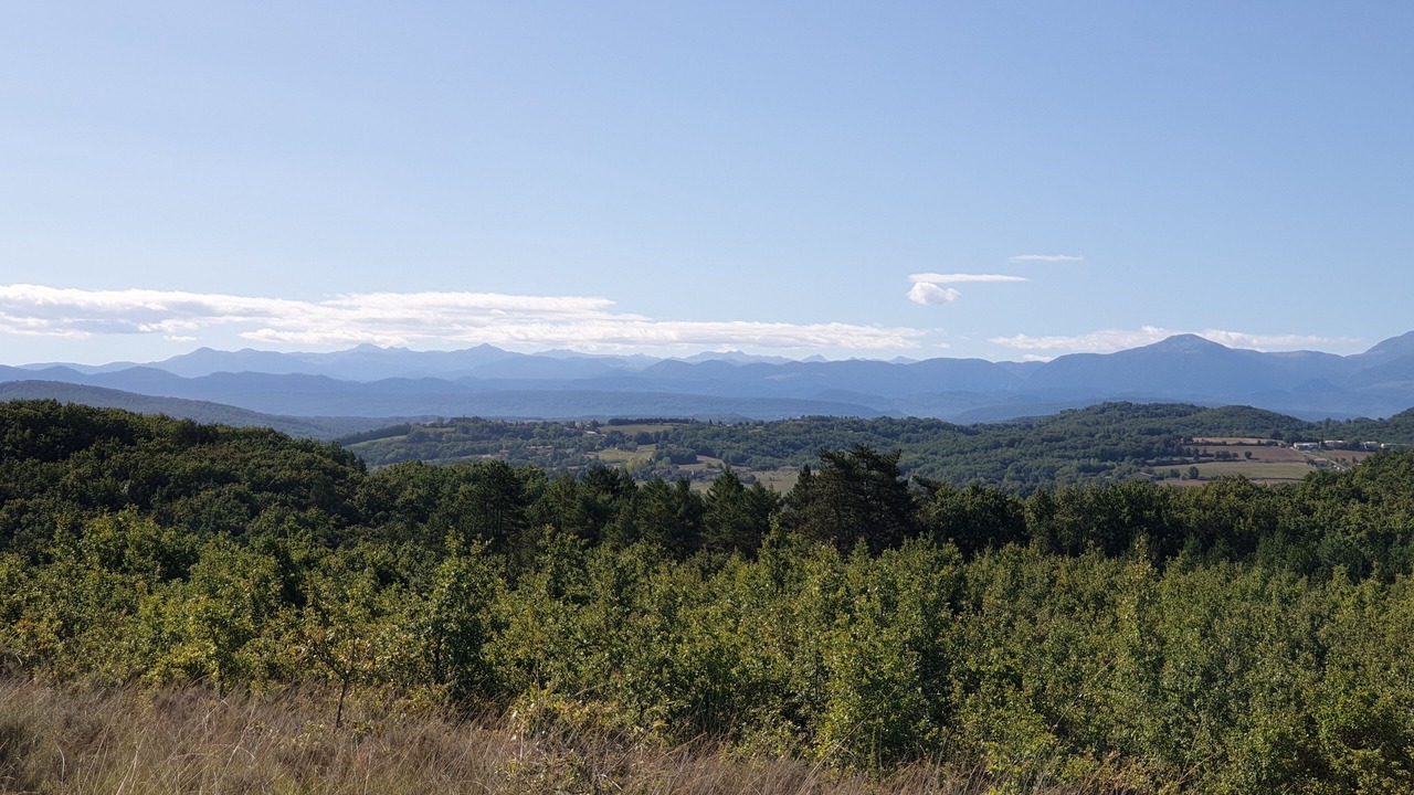 Photo of Others in Mirepoix