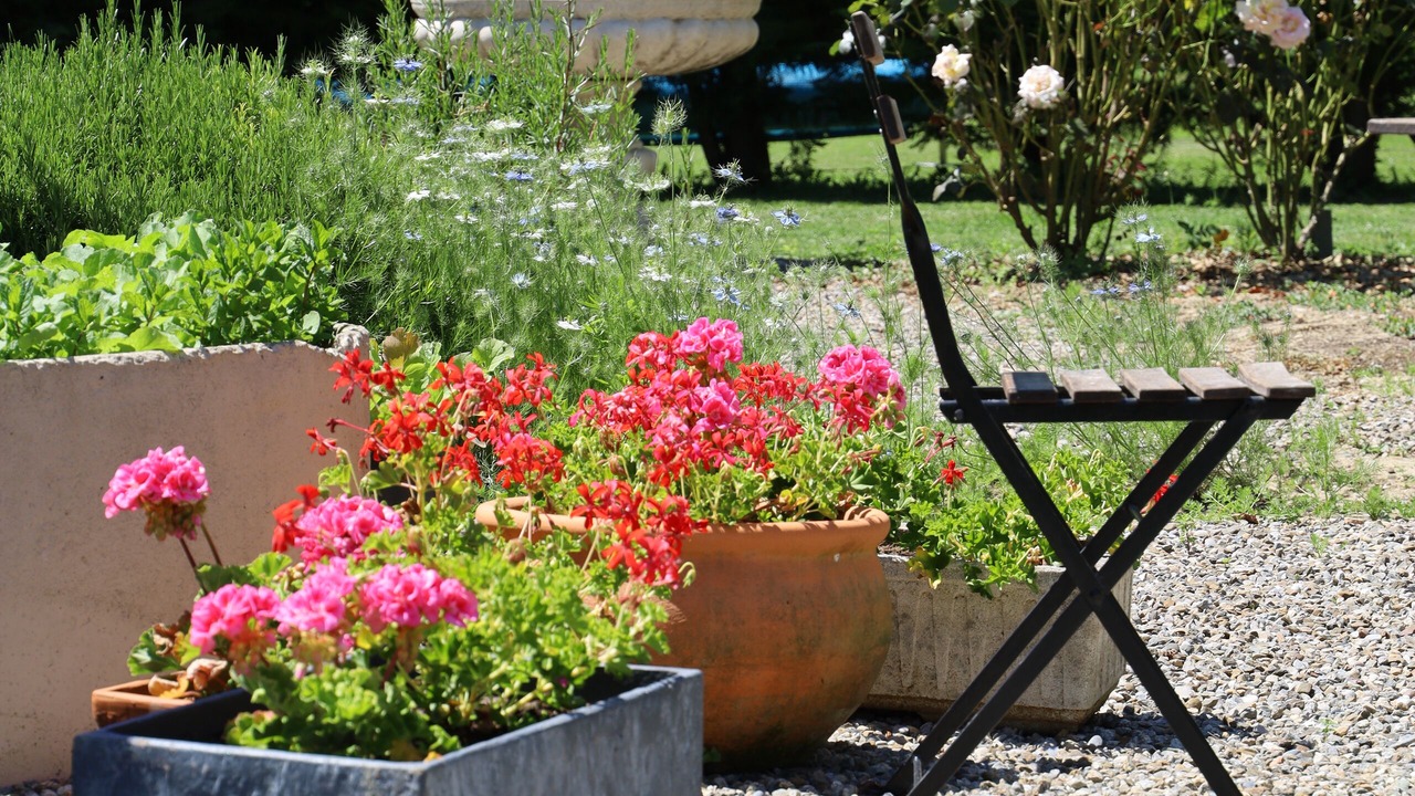 Photo of Outdoor in Mirepoix