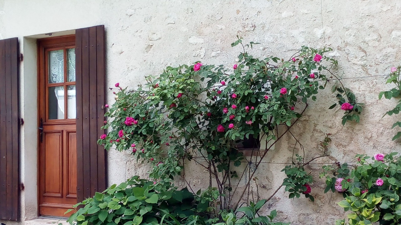 Photo of Outdoor in Fougeres-sur-Bievre