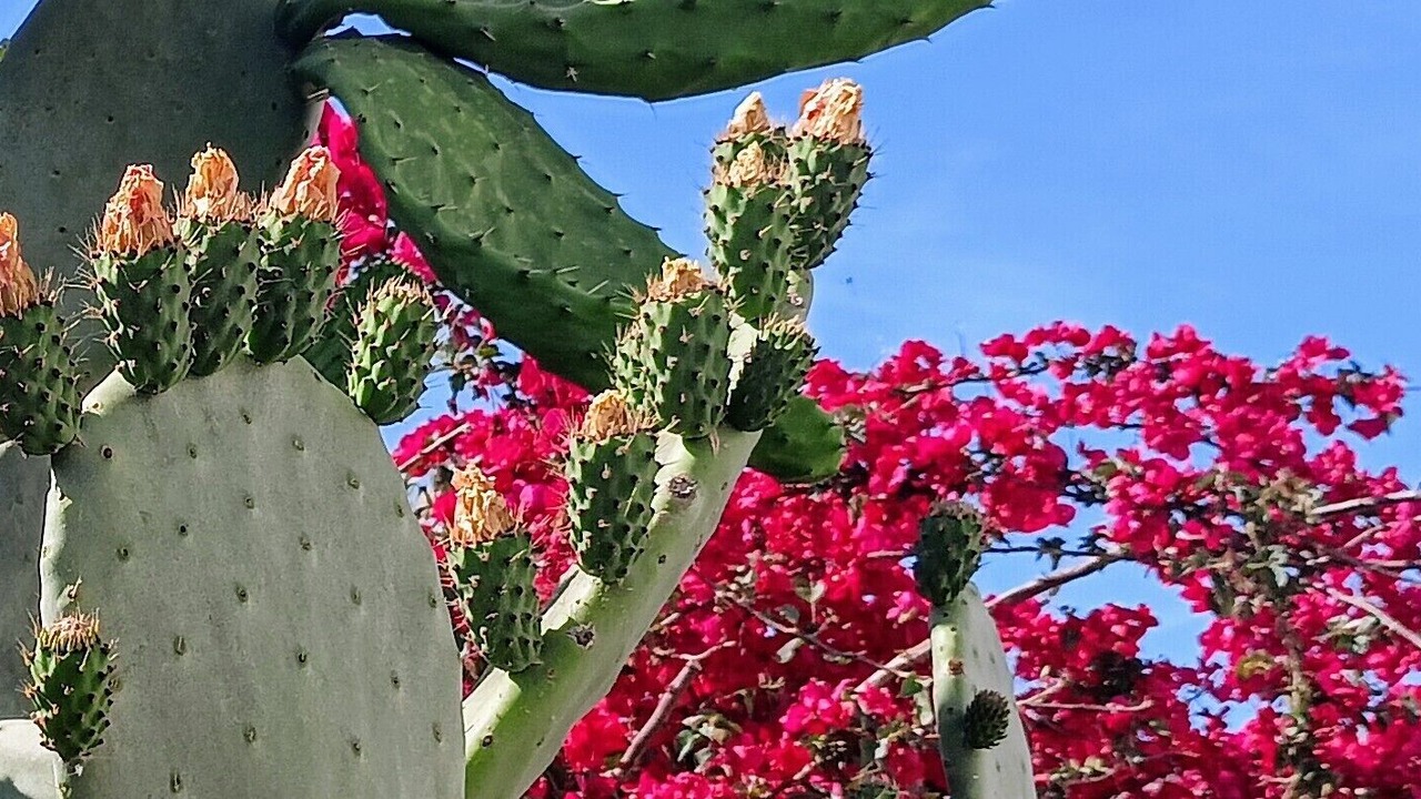 Photo of Outdoor in Torre Chianca