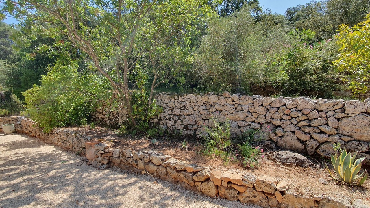Photo of Outdoor in Lorgues