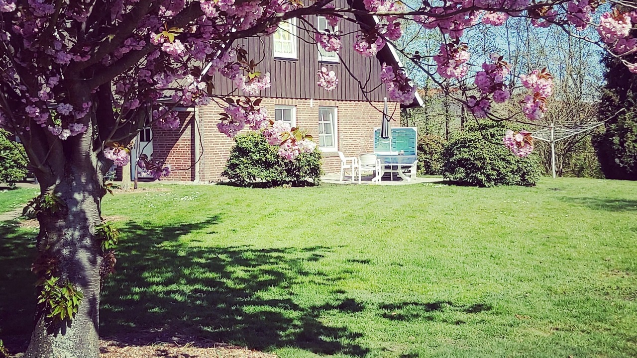Photo of Outdoor in Jork