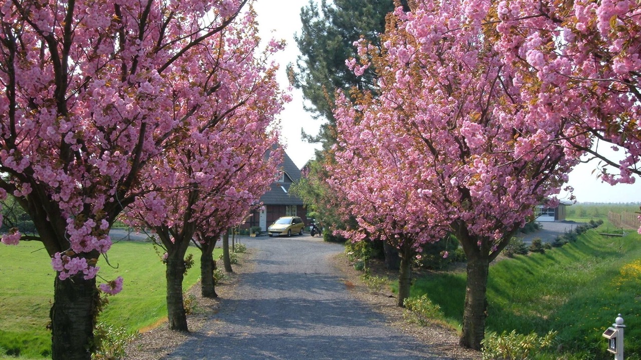 Photo of Outdoor in Jork