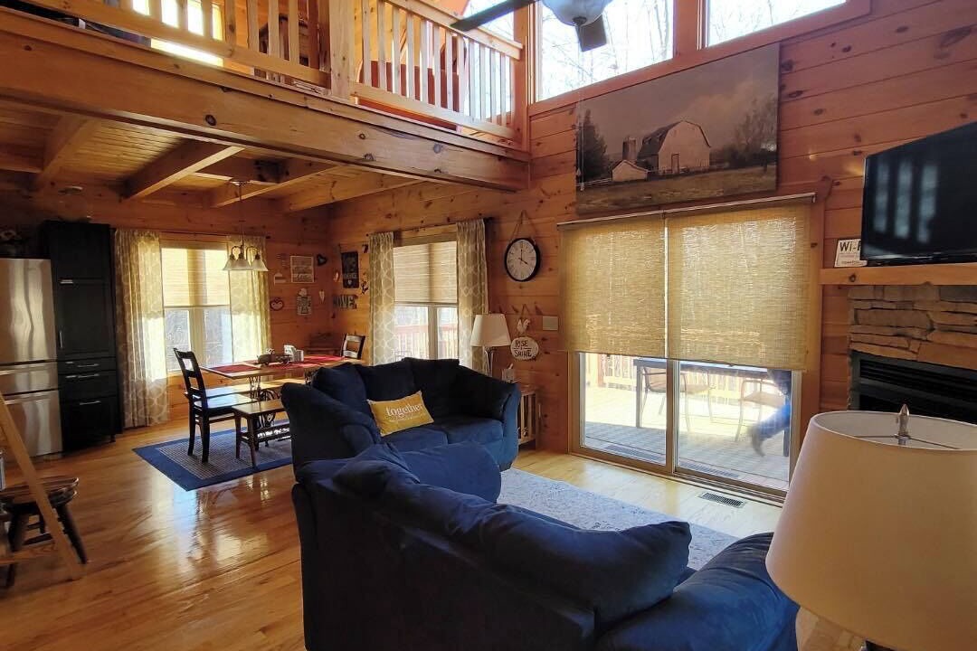 Photo of Livingroom in Vein Mountain