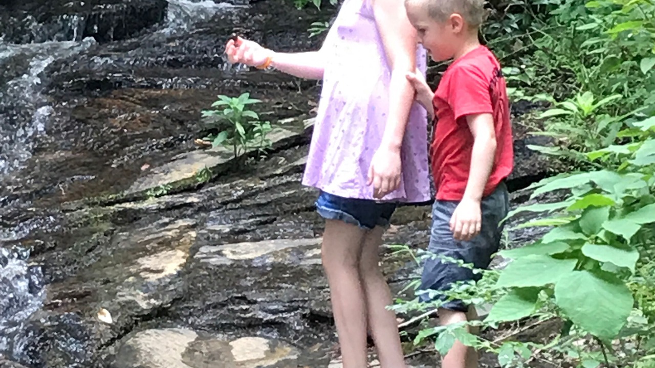 Photo of Others in Vein Mountain