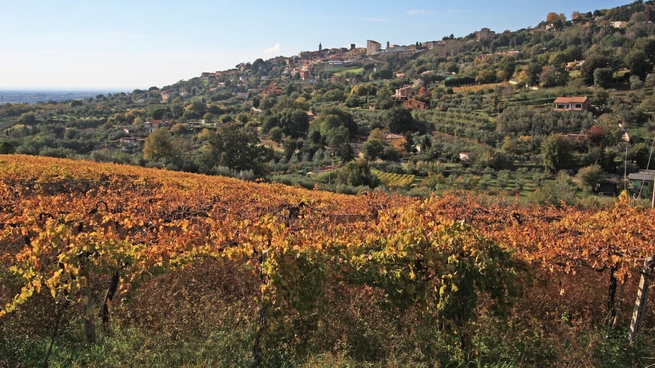 Photo of Others in Genzano di Roma