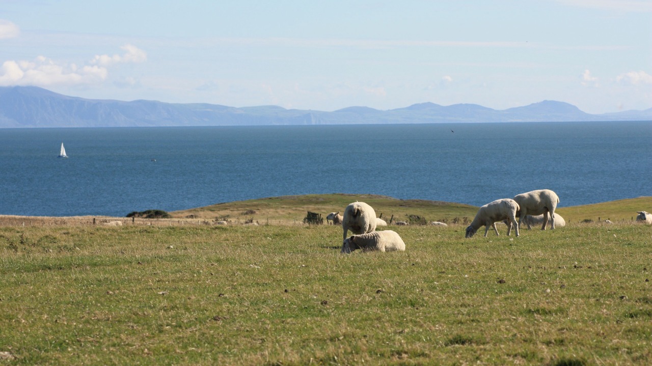 Photo of Others in Rhoscolyn