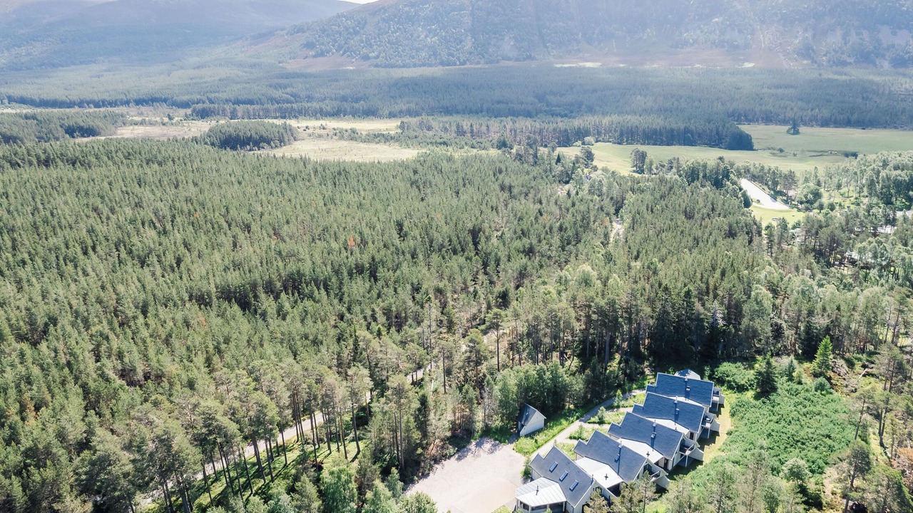 Photo of Outdoor in Alvie