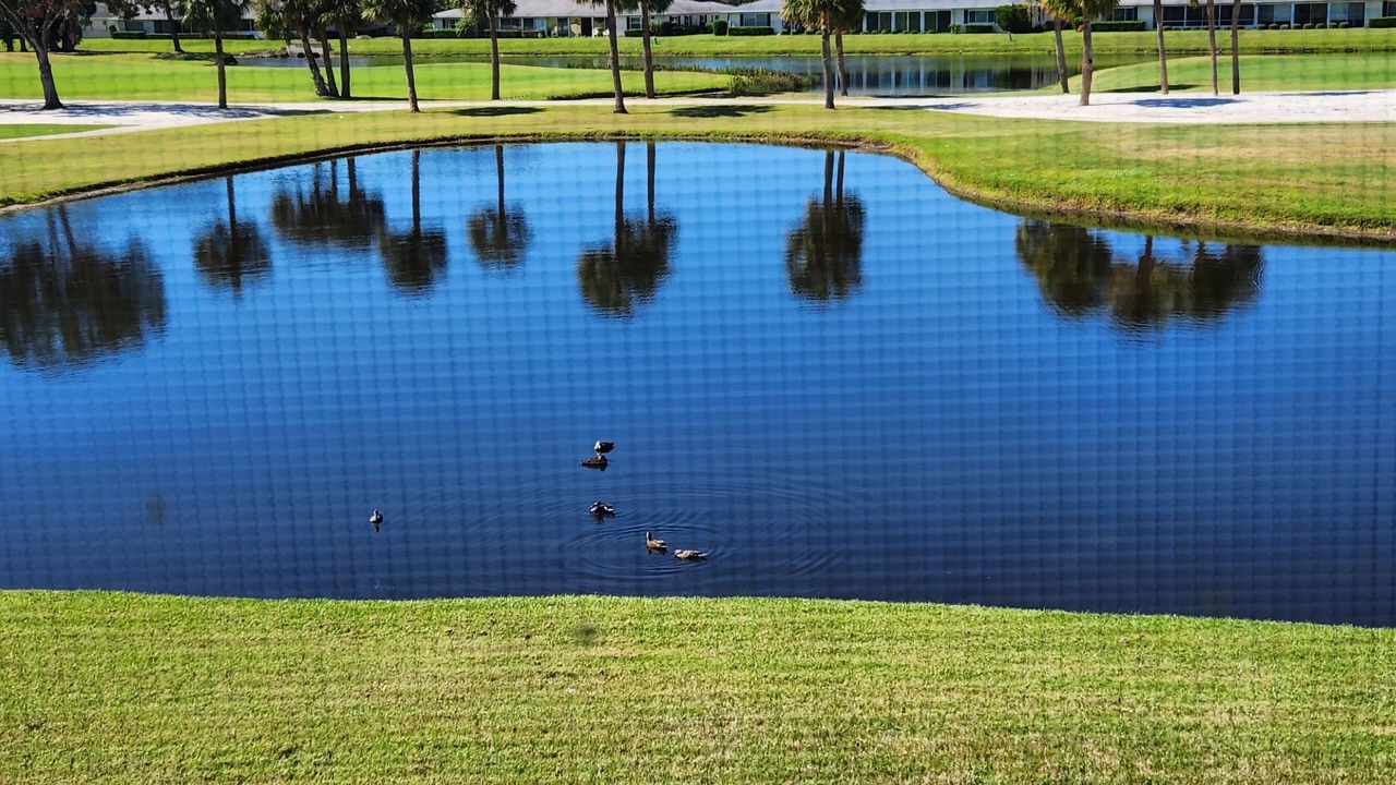 Photo of Outdoor in Braden River