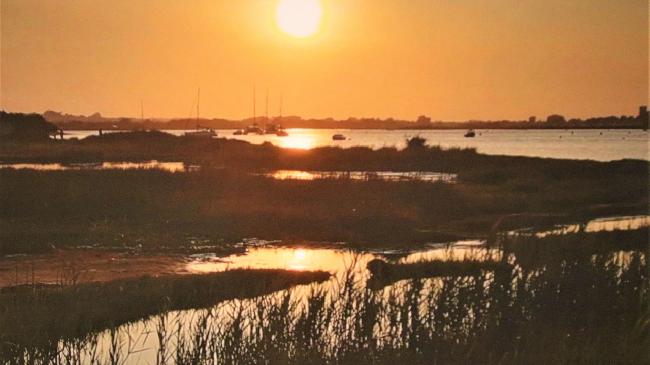Photo of Others in Mudeford