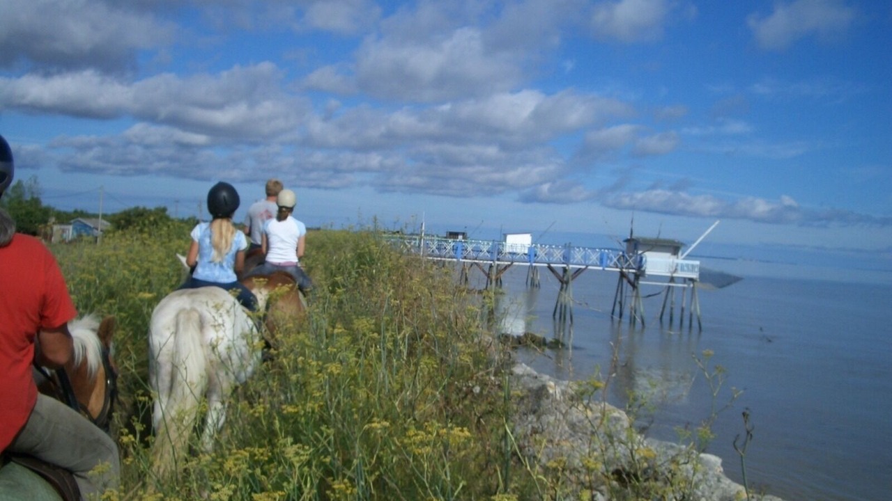 Photo of Others in Begadan
