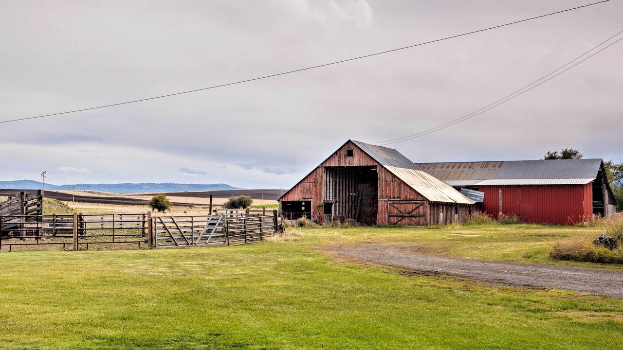 Photo of Outdoor in Grangeville