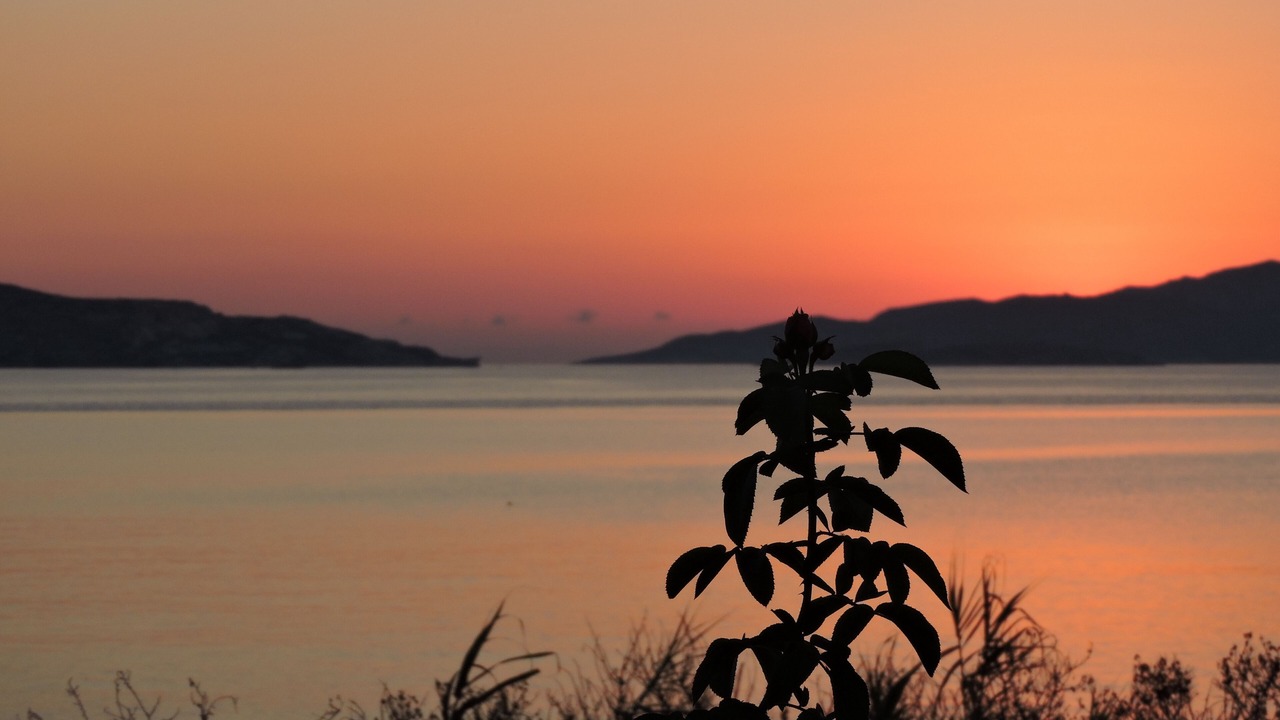 Photo of Others in Apollonia