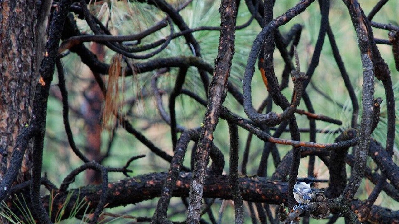 Photo of Outdoor in Okanagan-Similkameen