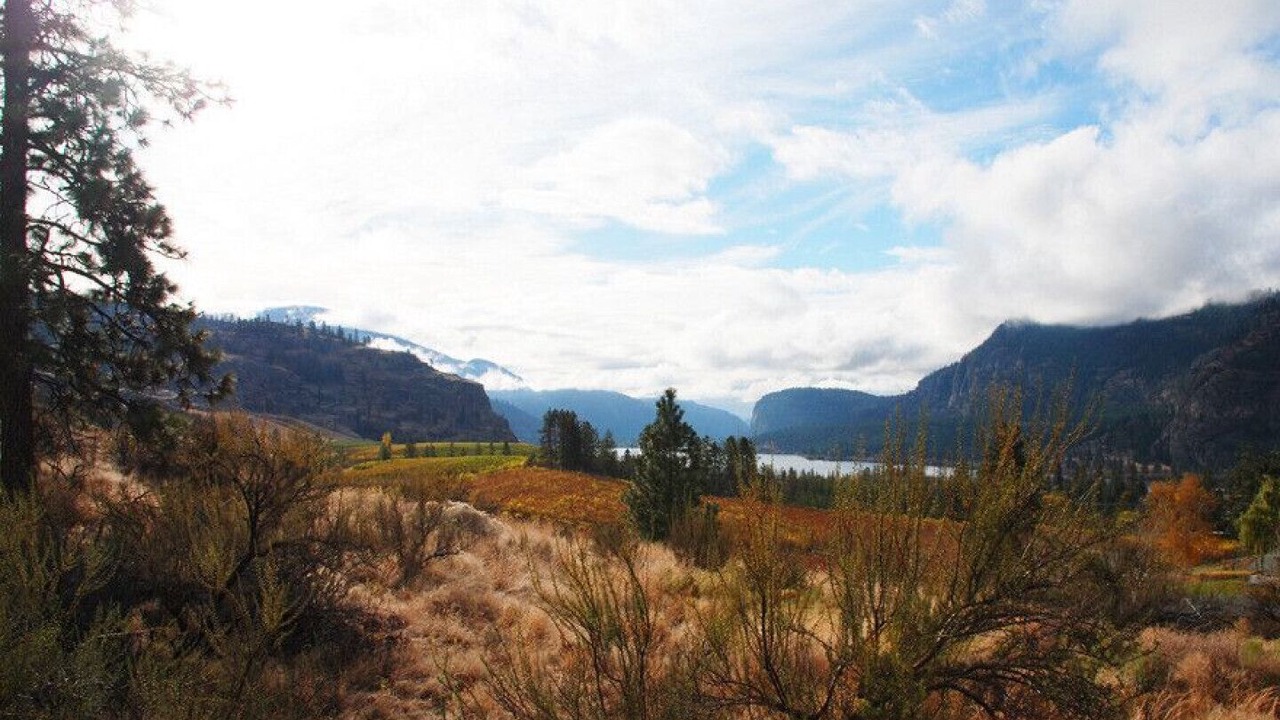 Photo of Others in Okanagan-Similkameen