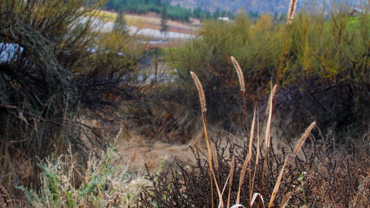 Photo of Outdoor in Okanagan-Similkameen