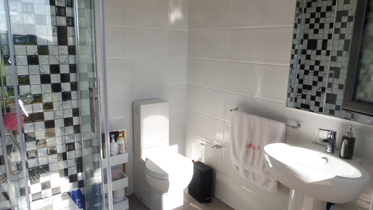 Photo of Bathroom in Portela
