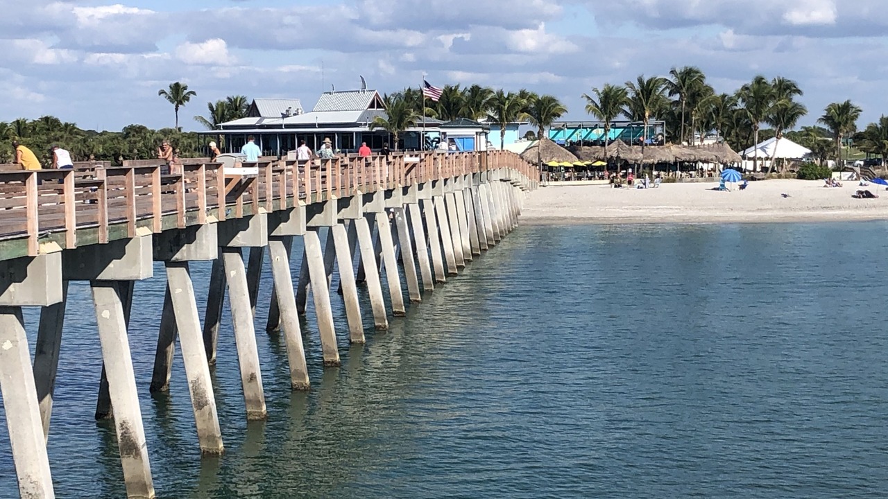 Photo of Others in Plantation