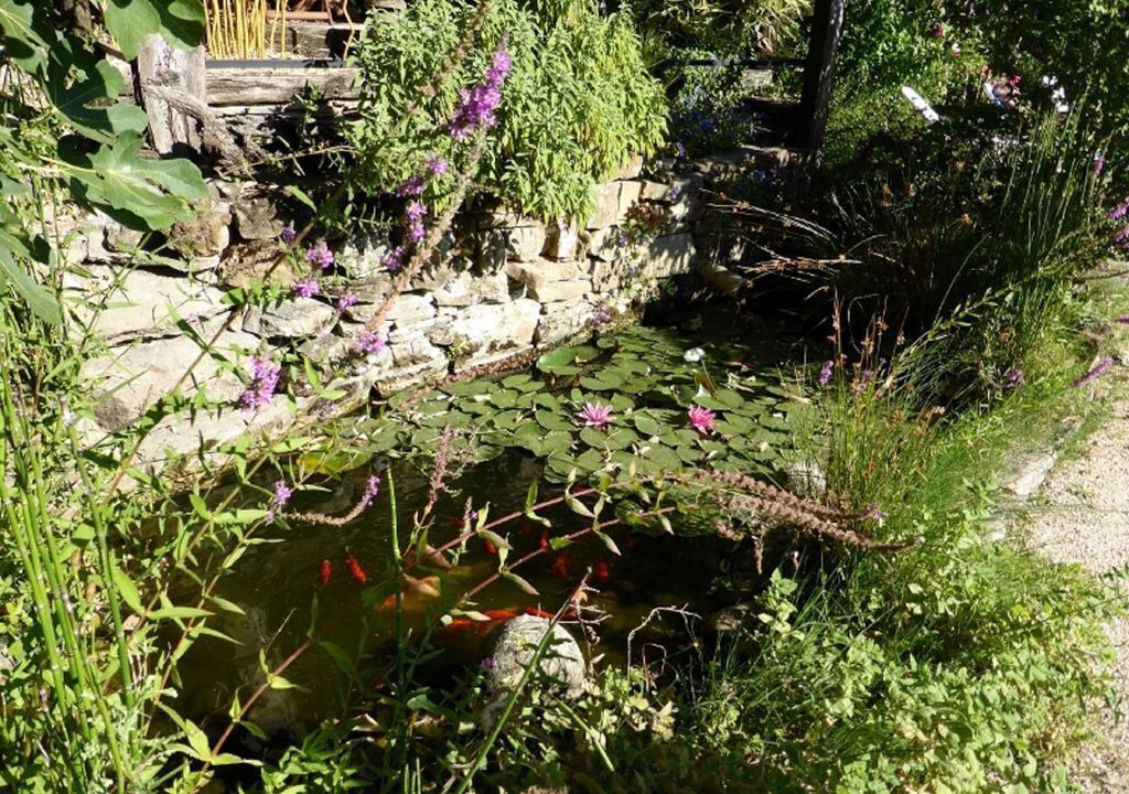 Photo of Outdoor in Vesseaux