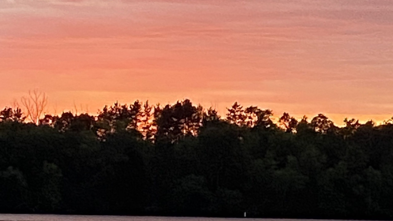 Photo of Others in Hingham