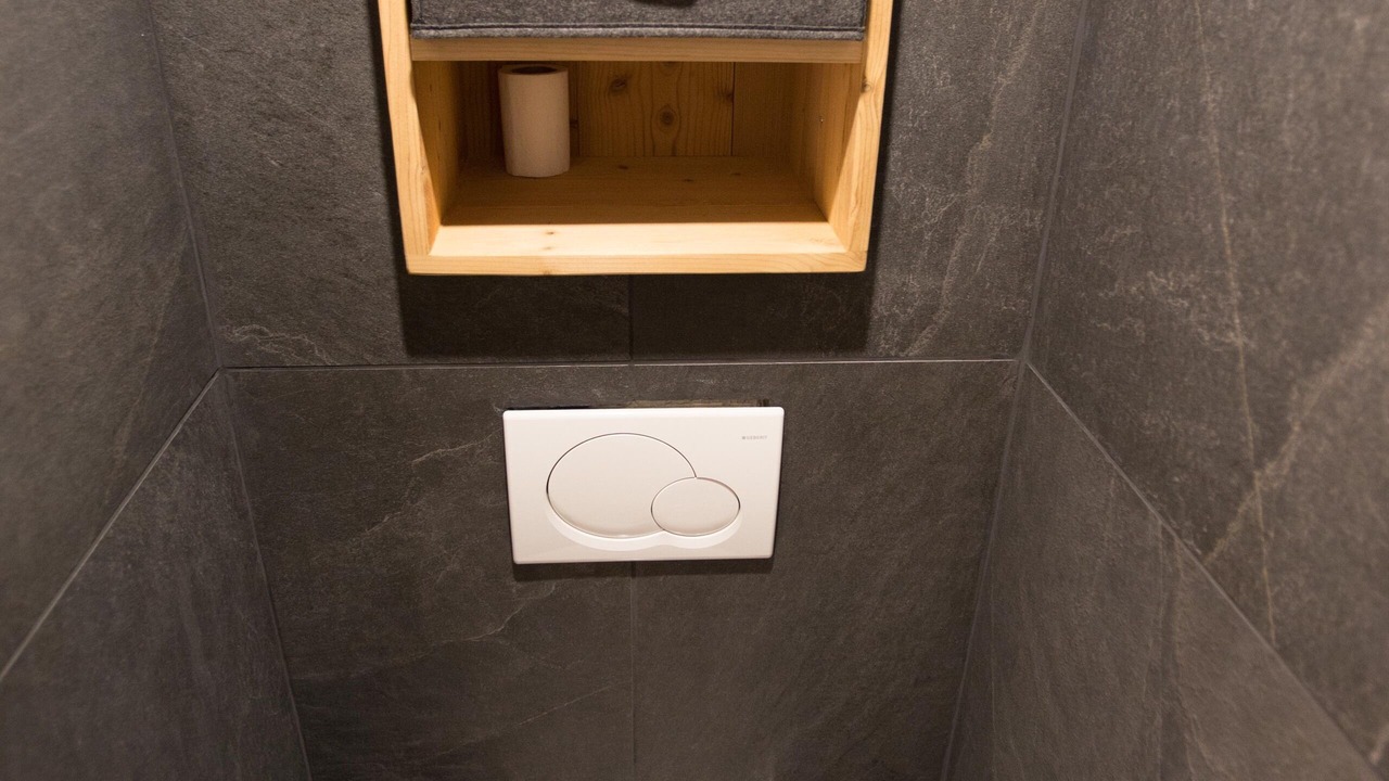 Photo of Bathroom in Tignes le Lac