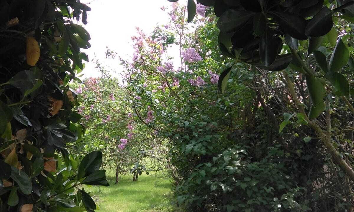 Photo of Outdoor in Maille