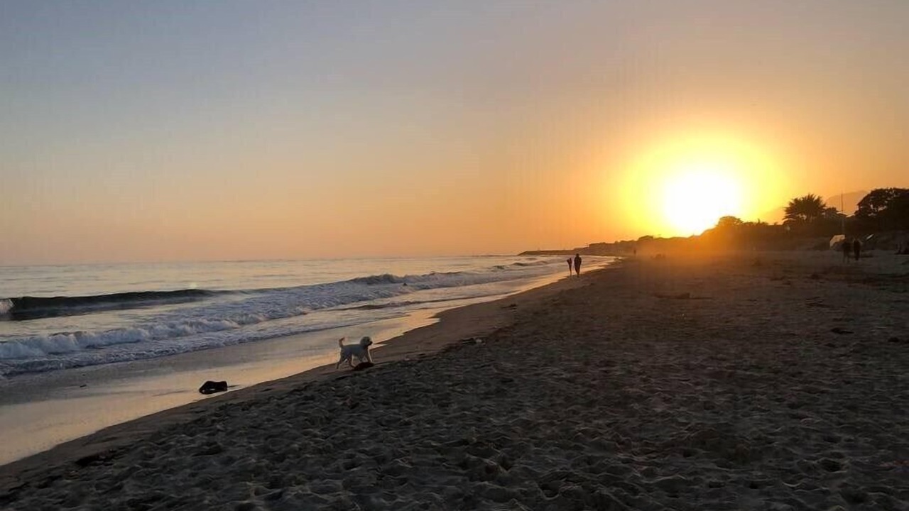 Photo of Others in Carpinteria