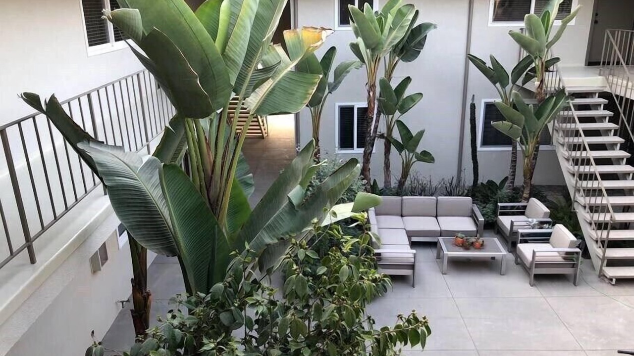 Photo of Outdoor in Carpinteria