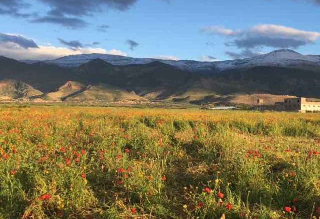 Photo of Outdoor in El Ksiba