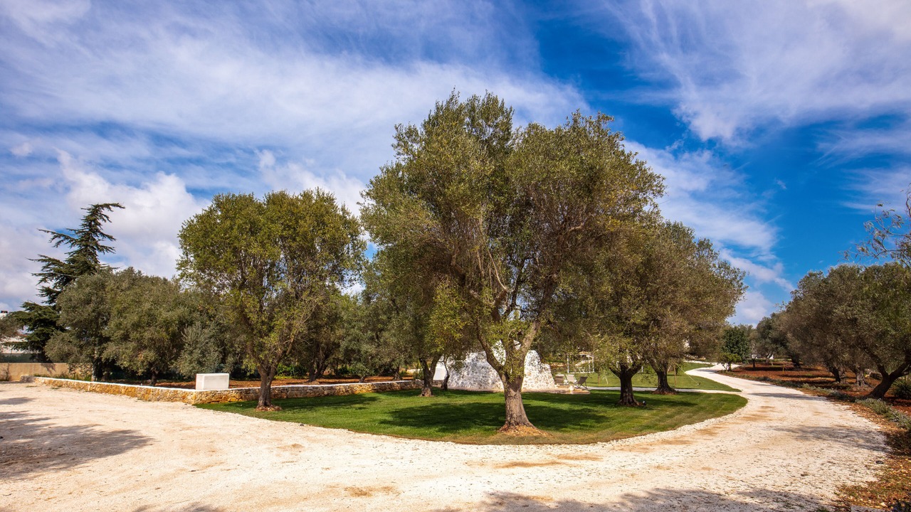 Photo of Outdoor in Ostuni