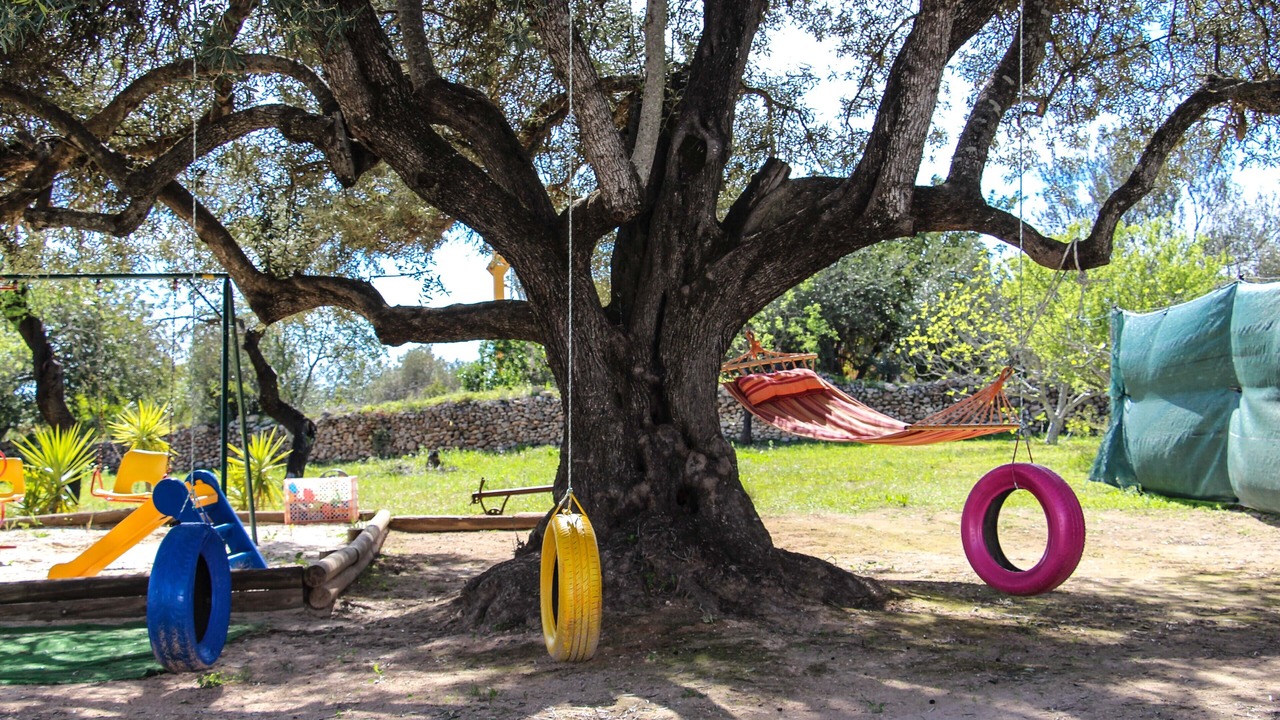 Photo of Others in Sao Clemente