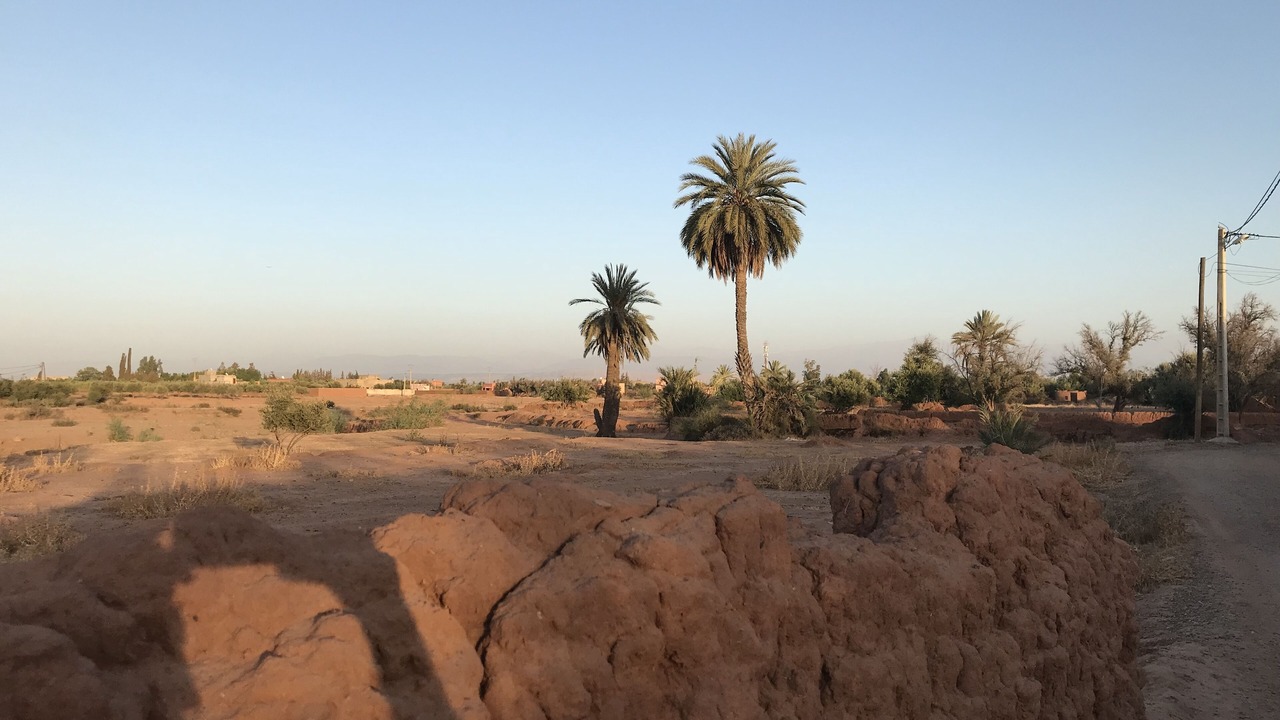 Photo of Others in Zaouia Sidi Abdallah Ben Sassi