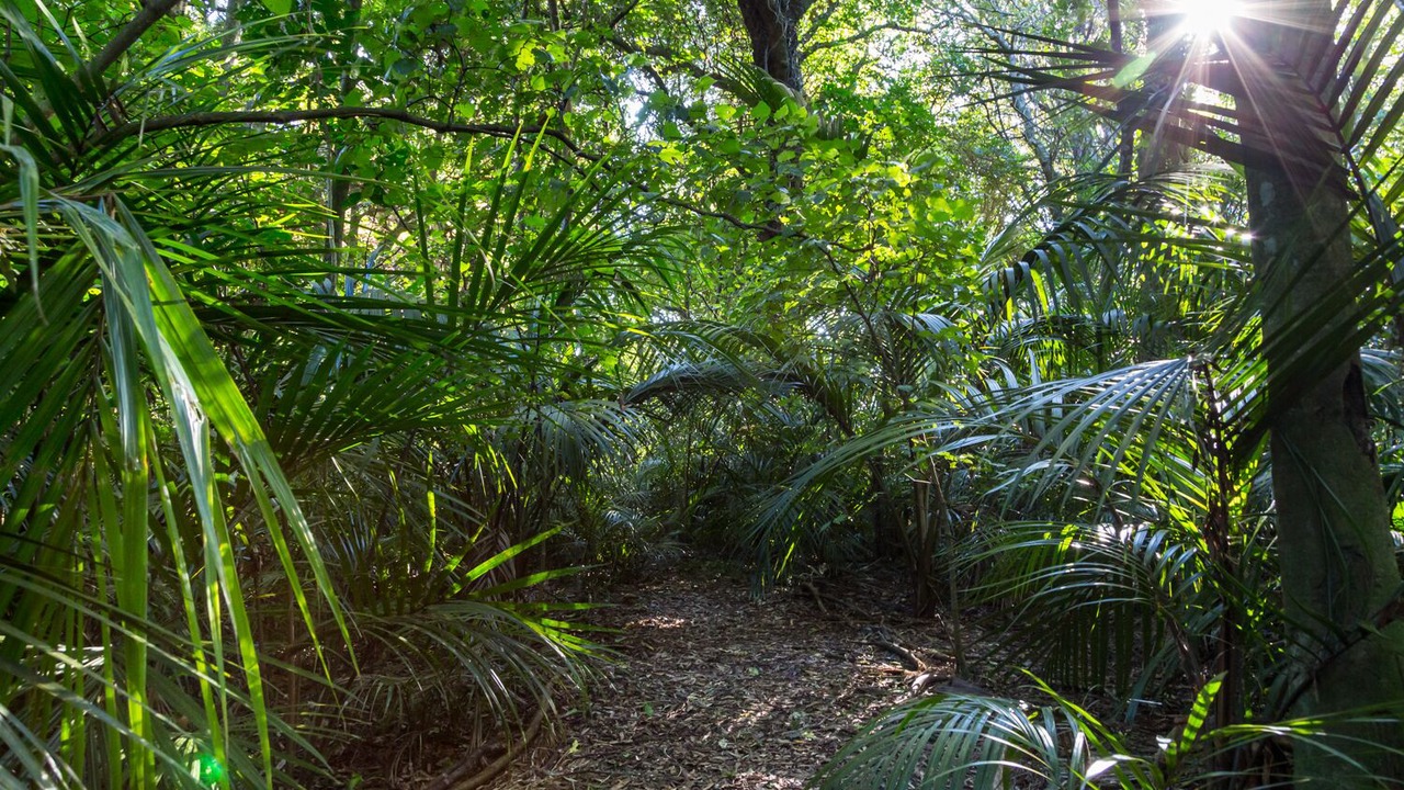 Photo of Outdoor in Otaki
