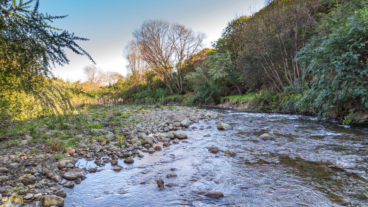 Photo of Outdoor in Otaki