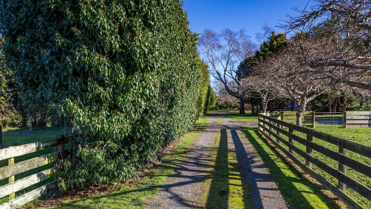 Photo of Outdoor in Otaki